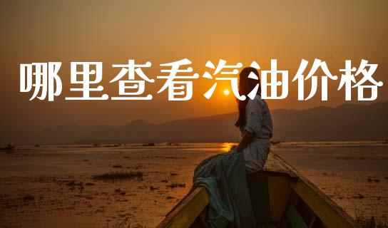 哪里查看汽油价格_https://m.fansifence.com_个股行情_第1张