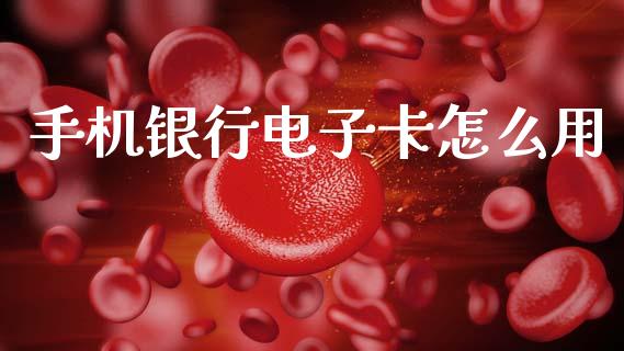 手机银行电子卡怎么用_https://m.fansifence.com_消费金融_第1张