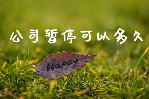 公司暂停可以多久_https://m.fansifence.com_贵金属行情_第1张