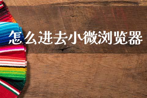 怎么进去小微浏览器_https://m.fansifence.com_贵金属行情_第1张
