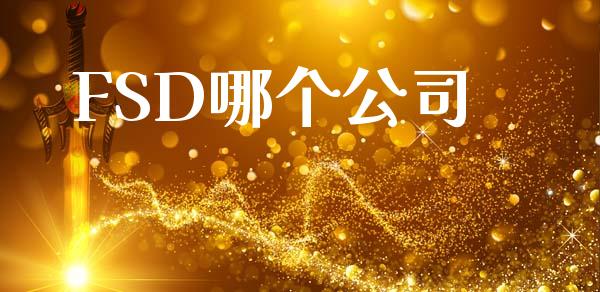 FSD哪个公司_https://m.fansifence.com_公募基金_第1张