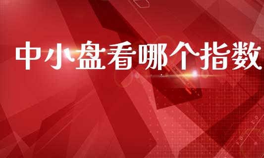 中小盘看哪个指数_https://m.fansifence.com_消费金融_第1张