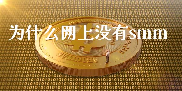 为什么网上没有smm_https://m.fansifence.com_消费金融_第1张