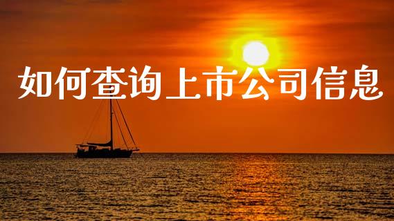 如何查询上市公司信息_https://m.fansifence.com_个股行情_第1张