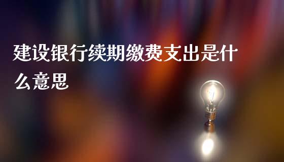 建设银行续期缴费支出是什么意思_https://m.fansifence.com_贵金属行情_第1张