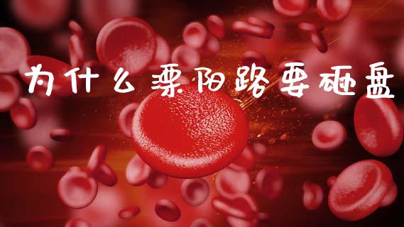 为什么溧阳路要砸盘_https://m.fansifence.com_消费金融_第1张