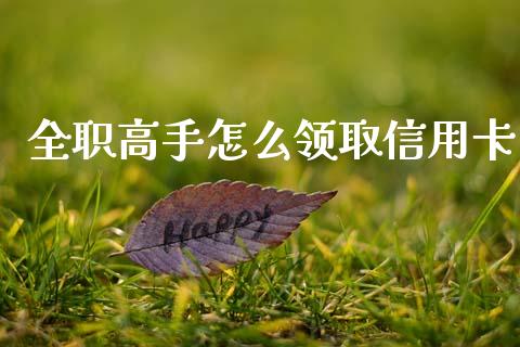 全职高手怎么领取信用卡_https://m.fansifence.com_公募基金_第1张