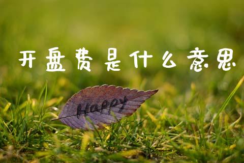 开盘费是什么意思_https://m.fansifence.com_公募基金_第1张