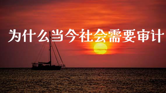 为什么当今社会需要审计_https://m.fansifence.com_贵金属行情_第1张