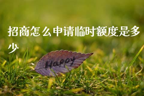 招商怎么申请临时额度是多少_https://m.fansifence.com_公募基金_第1张
