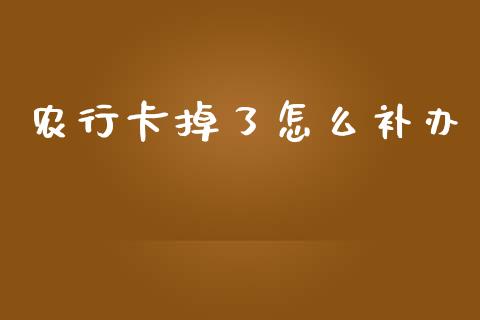 农行卡掉了怎么补办_https://m.fansifence.com_消费金融_第1张