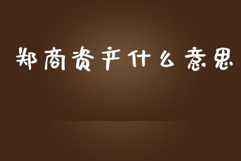 郑商资产什么意思_https://m.fansifence.com_公募基金_第1张