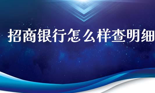 招商银行怎么样查明细_https://m.fansifence.com_公募基金_第1张