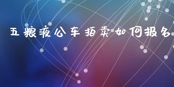 五粮液公车拍卖如何报名_https://m.fansifence.com_公募基金_第1张