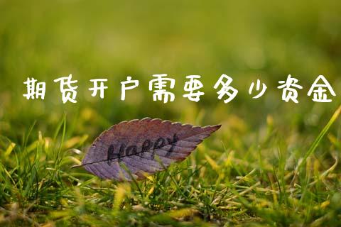 期货开户需要多少资金_https://m.fansifence.com_贵金属行情_第1张