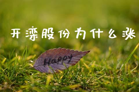 开滦股份为什么涨_https://m.fansifence.com_公募基金_第1张