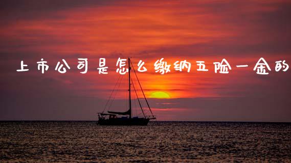 上市公司是怎么缴纳五险一金的_https://m.fansifence.com_个股行情_第1张