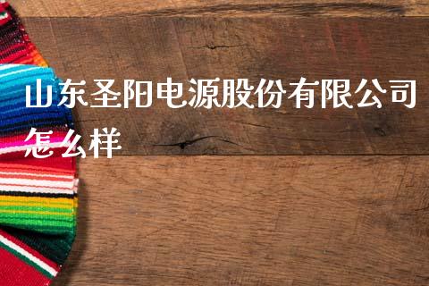 山东圣阳电源股份有限公司怎么样_https://m.fansifence.com_贵金属行情_第1张