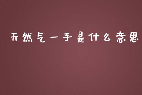 天然气一手是什么意思_https://m.fansifence.com_贵金属行情_第1张