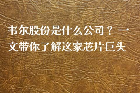韦尔股份是什么公司？ 一文带你了解这家芯片巨头_https://m.fansifence.com_消费金融_第1张