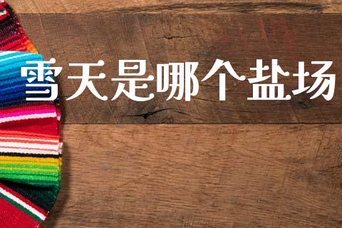 雪天是哪个盐场_https://m.fansifence.com_公募基金_第1张