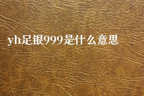 yh足银999是什么意思_https://m.fansifence.com_公募基金_第1张