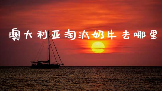 澳大利亚淘汰奶牛去哪里_https://m.fansifence.com_贵金属行情_第1张