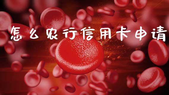 怎么农行信用卡申请_https://m.fansifence.com_贵金属行情_第1张