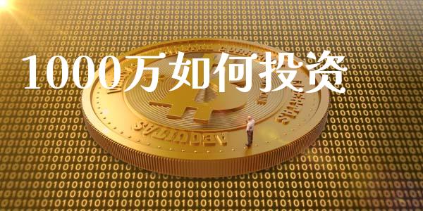 1000万如何投资_https://m.fansifence.com_公募基金_第1张