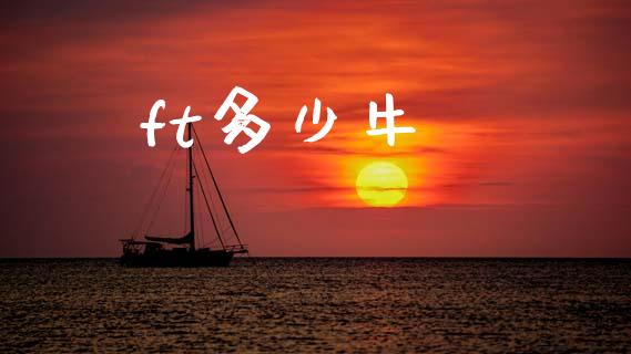 ft多少牛_https://m.fansifence.com_贵金属行情_第1张