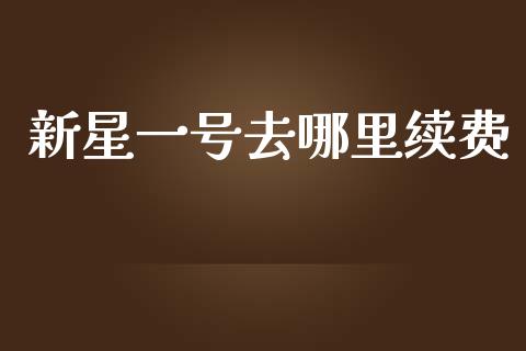 新星一号去哪里续费_https://m.fansifence.com_贵金属行情_第1张