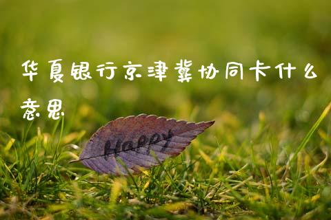 华夏银行京津冀协同卡什么意思_https://m.fansifence.com_贵金属行情_第1张