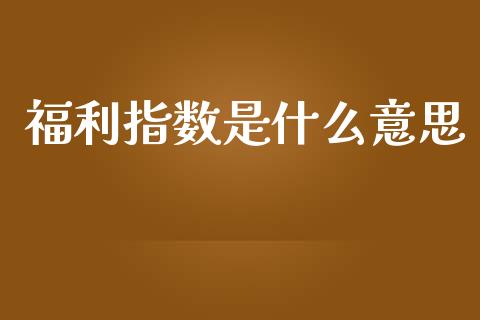 福利指数是什么意思_https://m.fansifence.com_公募基金_第1张