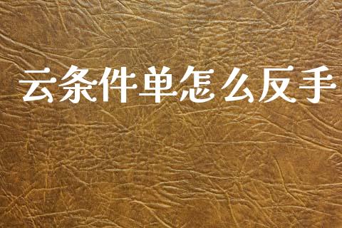 云条件单怎么反手_https://m.fansifence.com_消费金融_第1张