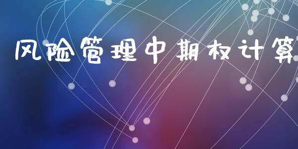 风险管理中期权计算_https://m.fansifence.com_消费金融_第1张