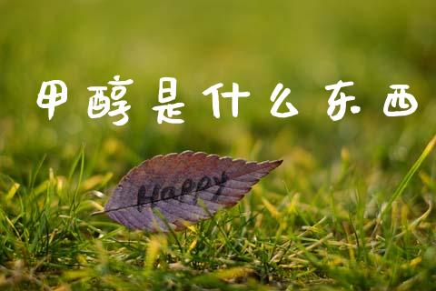 甲醇是什么东西_公募基金_第1张_个股行情_消费金融_贵金属行情_公募基金 甲醇是什么东西_https://m.fansifence.com_公募基金_第1张