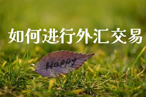 如何进行外汇交易_https://m.fansifence.com_消费金融_第1张