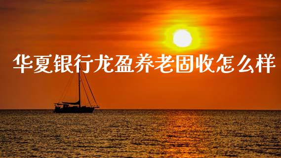 华夏银行龙盈养老固收怎么样_https://m.fansifence.com_消费金融_第1张