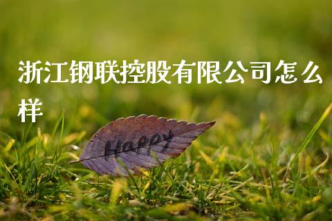 浙江钢联控股有限公司怎么样_https://m.fansifence.com_消费金融_第1张