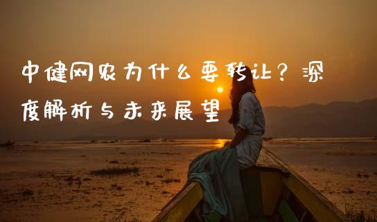 中健网农为什么要转让？深度解析与未来展望_https://m.fansifence.com_贵金属行情_第1张