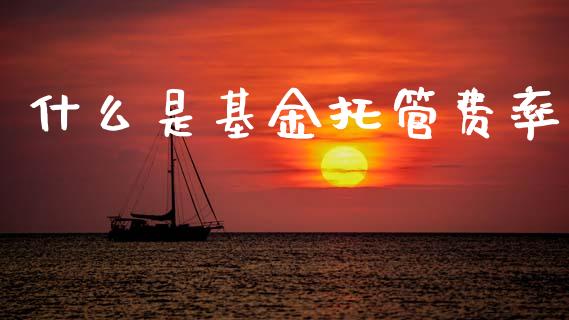 什么是基金托管费率_https://m.fansifence.com_公募基金_第1张