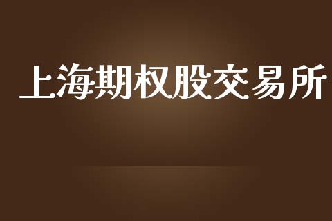 上海期权股交易所_https://m.fansifence.com_公募基金_第1张