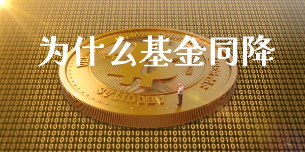 为什么基金同降_https://m.fansifence.com_贵金属行情_第1张