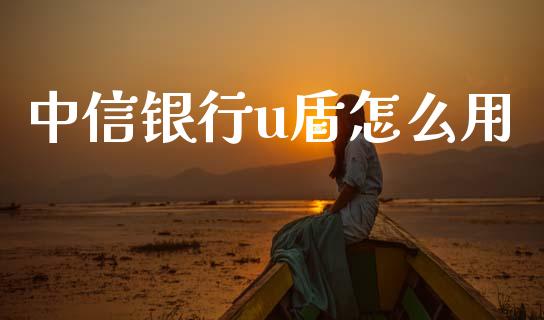 中信银行u盾怎么用_https://m.fansifence.com_公募基金_第1张