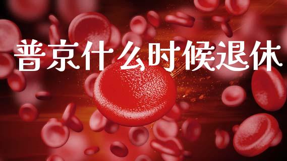 普京什么时候退休_https://m.fansifence.com_贵金属行情_第1张