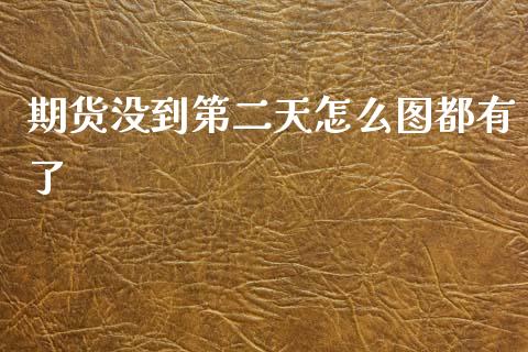 期货没到第二天怎么图都有了_https://m.fansifence.com_贵金属行情_第1张