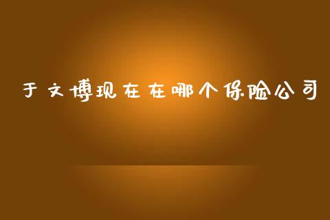 于文博现在在哪个保险公司_https://m.fansifence.com_公募基金_第1张