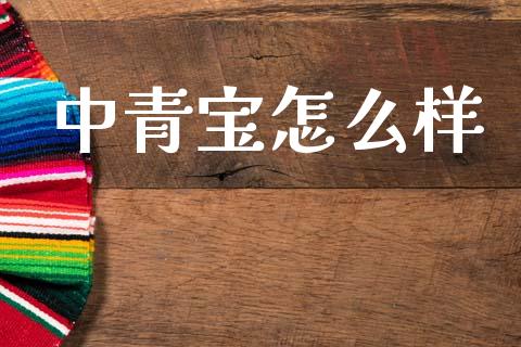 中青宝怎么样_https://m.fansifence.com_个股行情_第1张