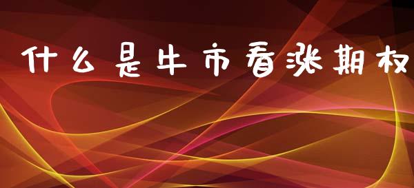 什么是牛市看涨期权_https://m.fansifence.com_个股行情_第1张
