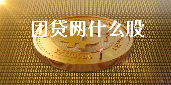 团贷网什么股_https://m.fansifence.com_个股行情_第1张